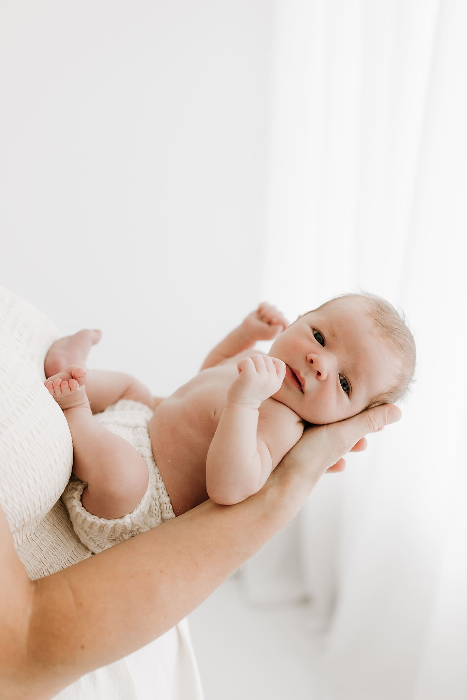small infant in knit bloomers held by window by Rose and Oak Photography